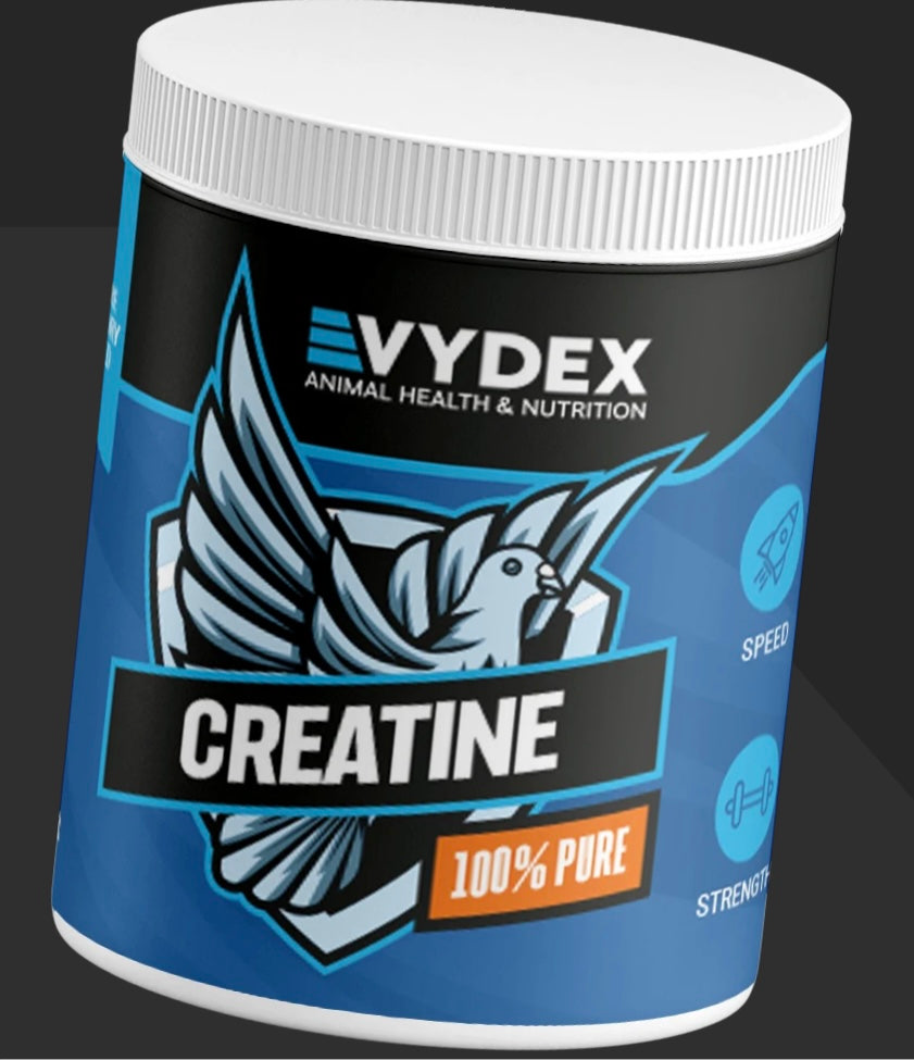 الكرياتين النقي 100%