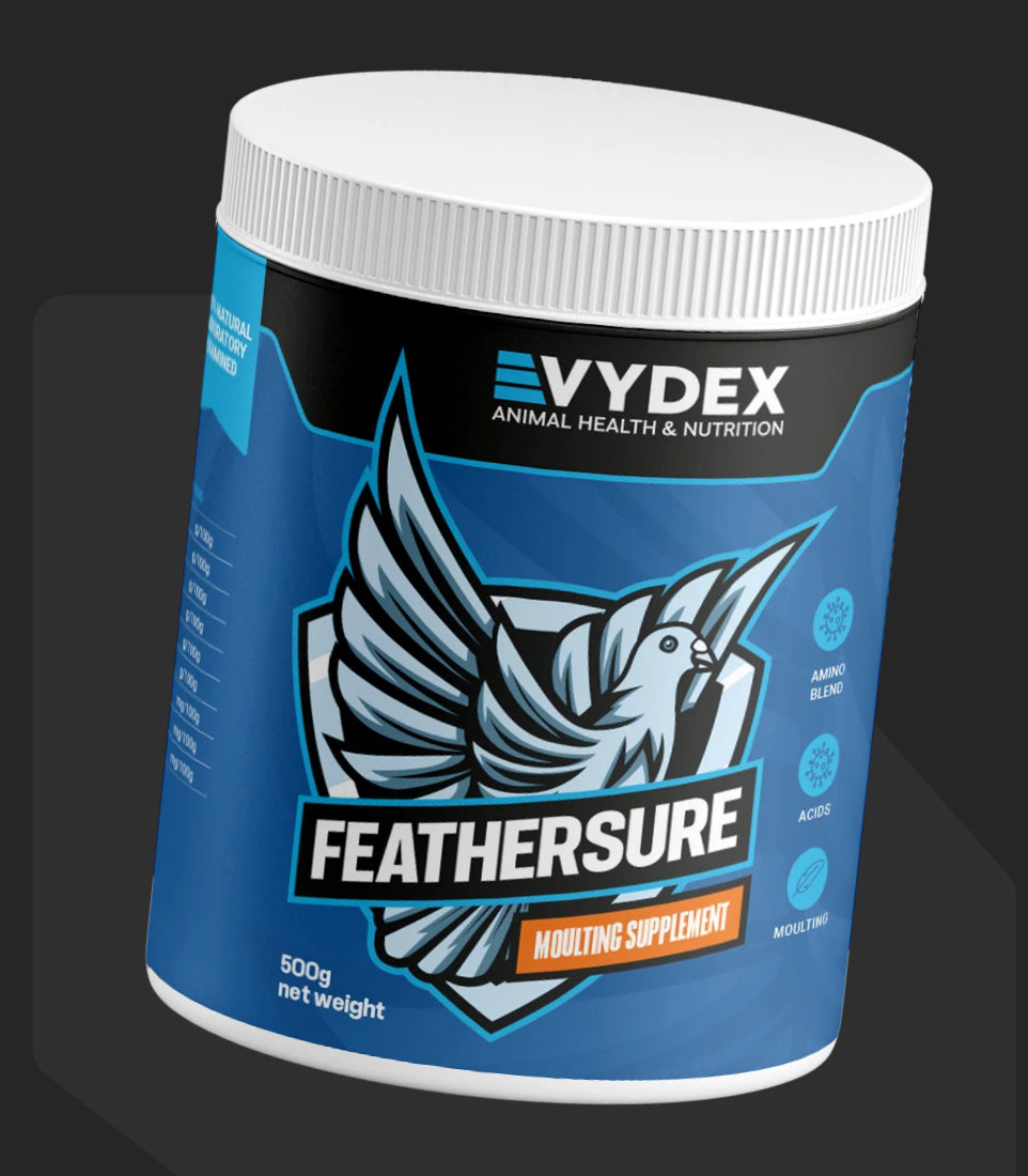 يساعد على نمو الريش