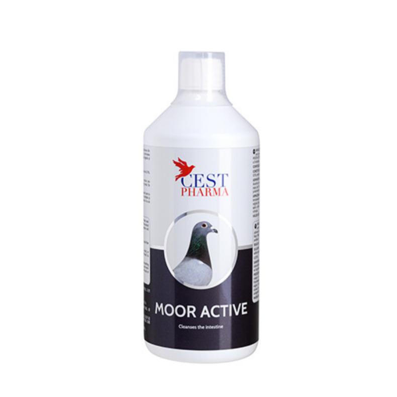 More Active 1000ml