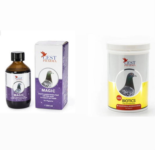 منتجان لمناعه أقوى بكتيريا نافعه مع المجك