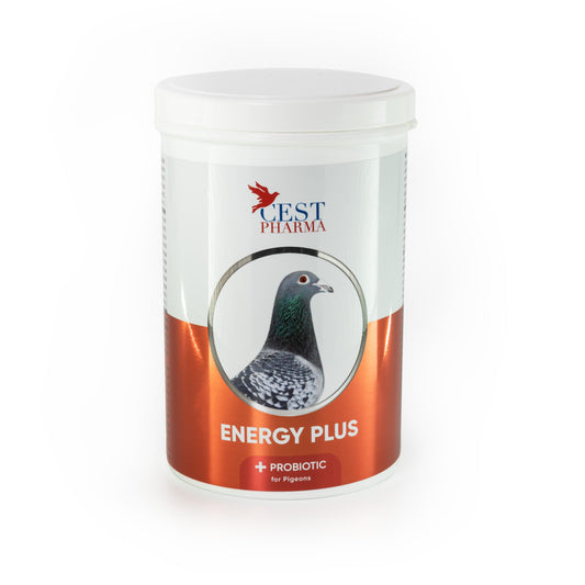 Energy Plus 600g