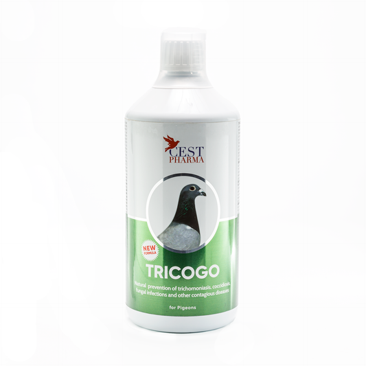 Tricogo 500 files