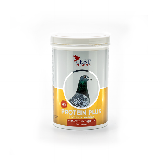 Protein Plus 600g _x000D_