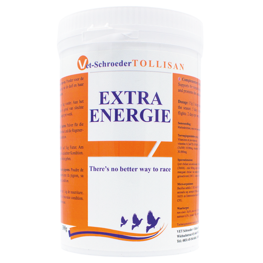 Extra Energy