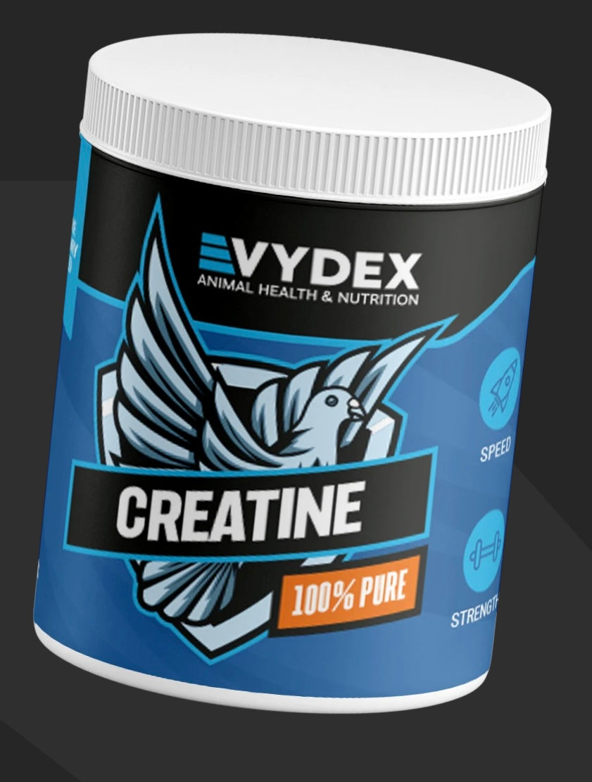 الكرياتين النقي 100‎%‎