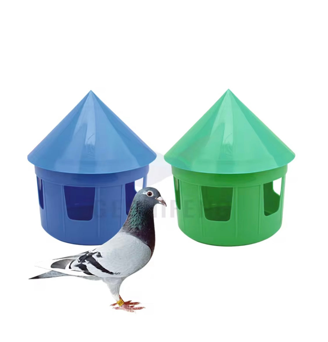 Belgian Water Drinker – 2 Liter