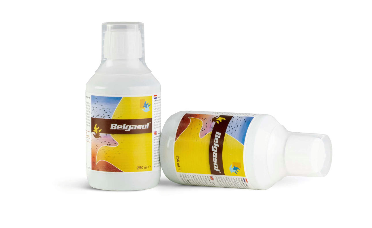 بلقاسول الحجم الصغير  250 ملي