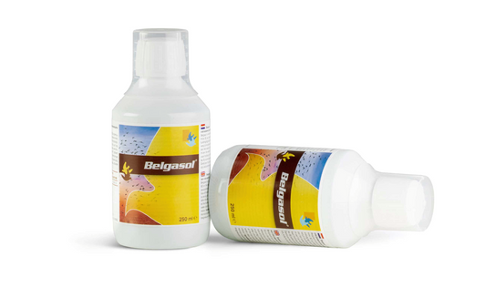 بلقاسول الحجم الصغير للصقور 250 ملي