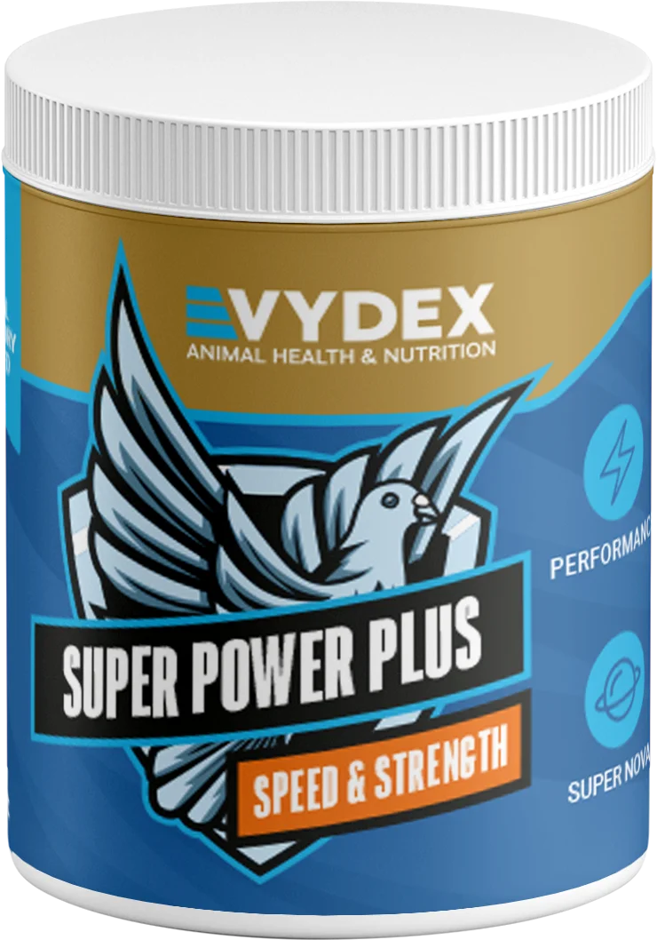 Super Power Plus – Muscle & Energy Powder