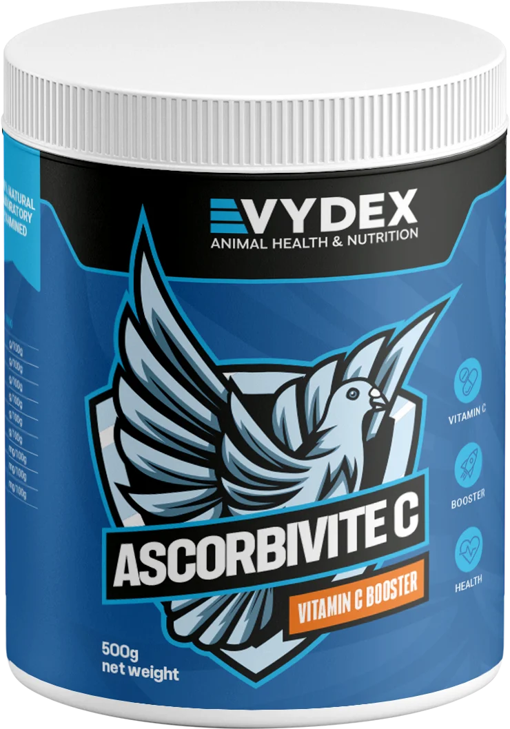 Ik denk dat het goed is 