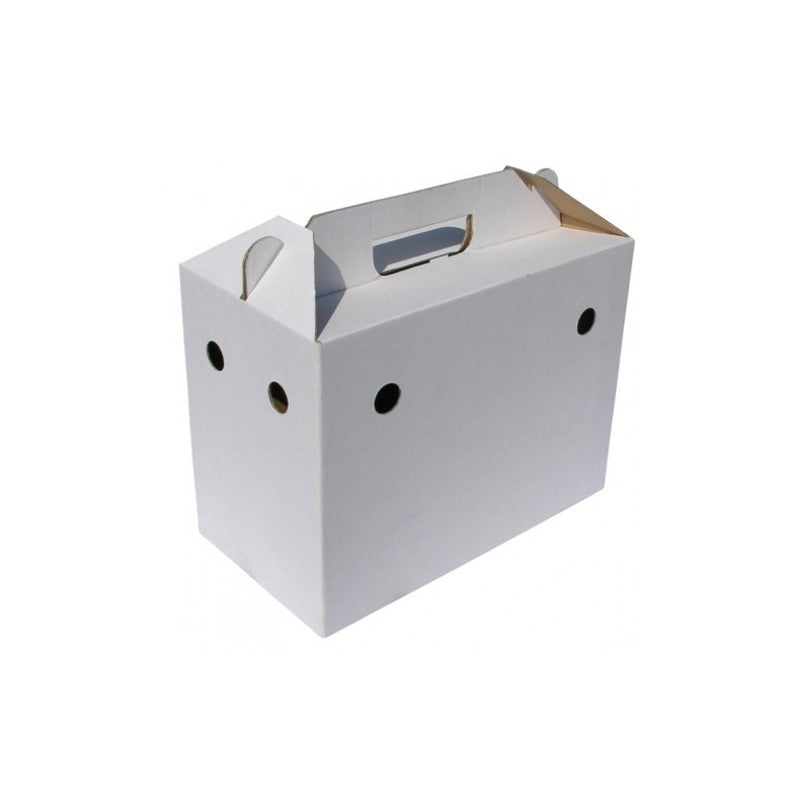 صندوق  نقل كرتوني