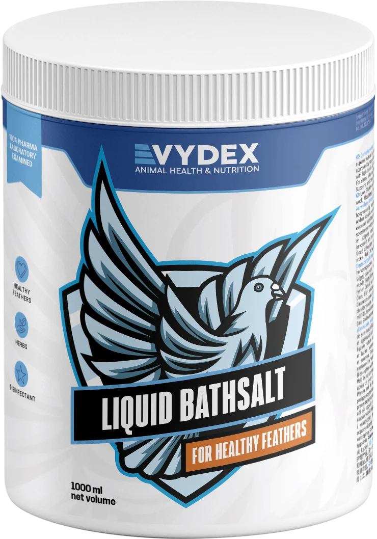 شامبو الاستحمام السائل