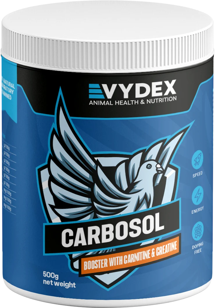 الكربوهايدرات والكرياتين