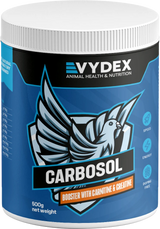 الكربوهايدرات والكرياتين