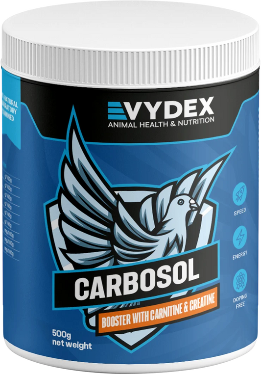 الكربوهايدرات والكرياتين