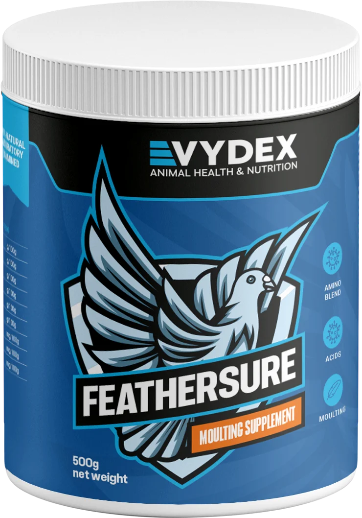 يساعد على نمو الريش