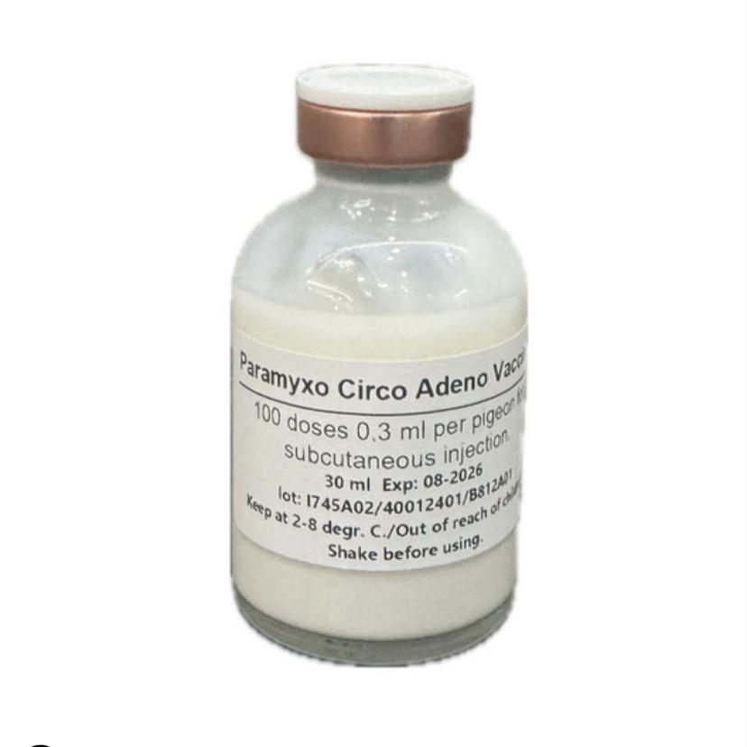 Triple vaccination for 100 birds