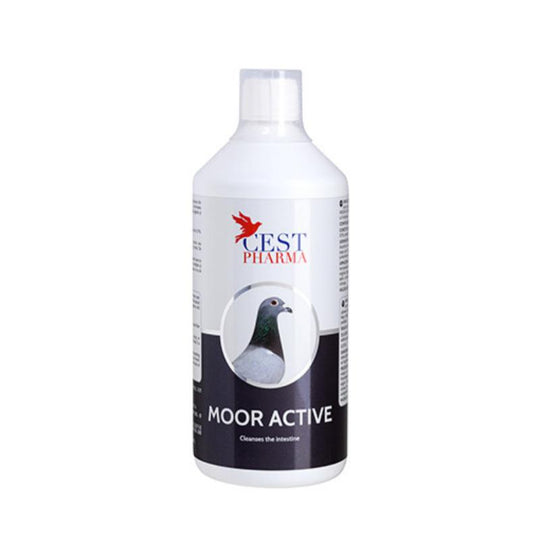 More Active 1000ml