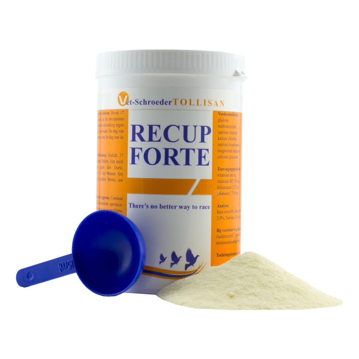Electrolite Developer Recup-Fort 300g