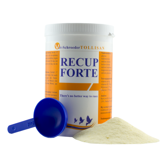 Electrolite Developer Recup-Fort 300g